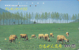 Télécarte Japon / NTT 350-264 - VACHE - COW Japan Phonecard - KUH Telefonkarte - 84 - Koeien