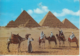 EGYPTE - Pyramides Gizeh - Guiza