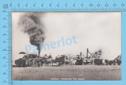 Steam Tractor ( Canada Threshing The Weat  In Action Blank Back ) Recto/verso - Trattori