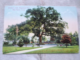 USA   Connecticut - NEW HAVEN  -  Children's Oak -Edgewood Park  PU 1910  D127304 - New Haven