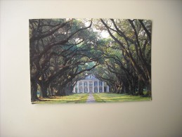 ETATS UNIS LA LOUISIANA OAK ALLEY PLANTATION THE ALLEY - Altri & Non Classificati