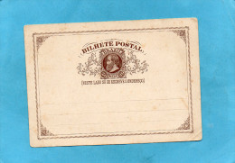 BRESIL-Bilhete Postal--carte Postale Entier Postal Années 1880-neuf - Lettres & Documents