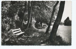 CPSM GUEMENE - PENFAO, PROMENADE DU PARADIS, Format 9 Cm Sur 14 Cm Environ, LOIRE ATLANTIQUE 44 - Guémené-Penfao