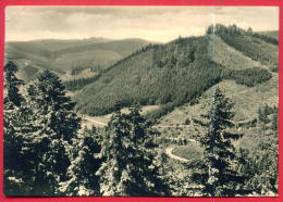 164018 / Luftkurort Friedrichroda ( Thüringen ) - BLICK INS KUHLE TAL  - Germany Deutschland Allemagne Germania - Friedrichroda