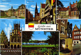 Münster Westf - Mehrbildkarte 11 - Muenster