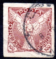 CZECHOSLOVAKIA 1918 Newspaper Stamp - Bird - 100h. - Brown  FU - Zeitungsmarken