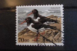 Islande - Année 1988 - 70k Haematopus Ostralegus - Y.T. 623 - Oblitéré - Used - Gestempeld - Gebraucht