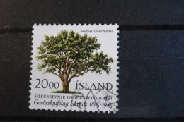 Islande - Année 1985 - 20k Sorbier - Y.T. 588 - Oblitéré - Used - Gestempeld - Usados