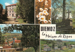 DIEMOZ  (38) La Maison De Repos - Diémoz