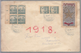 Hungary 1918 Cover With Esperanto Label, Green Special Cancel - Cartes-maximum (CM)