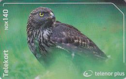 TC Puce NORVEGE 140 NOK - ANIMAL - OISEAU Rapace - AUTOUR - EAGLE Raptor BIRD NORWAY Phonecard Vogel - 3867 - Noorwegen