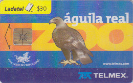 Télécarte à Puce MEXIQUE - OISEAU Rapace - AIGLE - EAGLE  BIRD MEXICO Chip Phonecard - ADLER Vogel - 3868 - Mexico