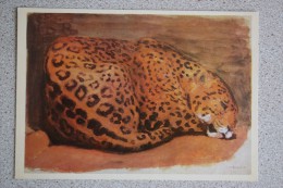 Painter VATAGIN. Jaguar  - Old USSR Postcard 1978 - Tigres