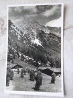 Austria -  Stubaital - Schlickeralm Mit Kalkkögel  - Fulpmes  Ca 1920's - Photo Richard Müller Innsbruck    D127490 - Neustift Im Stubaital