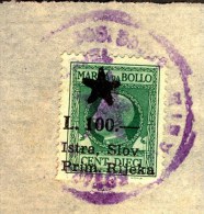 ITALIA - JUGOSLAVIA - SLOVENIA  - CERTIFICATO  POLICIA - PAZIN - ISTRIA - Bollo  L. 100 - Completo - 1946 - RARE - Fiscale Zegels