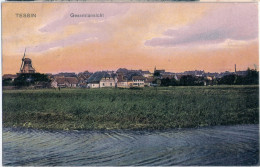 TESSIN Mecklenburg Gesamtansicht Windmühle Molen Moulin Mill Color 13.9.1909 Gelaufen - Rostock