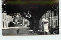 LA GARDE FREINET - Place Vieille Et Grande Rue. - La Garde Freinet