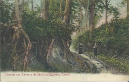 Orroir   -   Chemin Des Racines Du-Mont De-L´Eclus;  Mooie Gekleurde Kaart - Amougies  1908 Naar  Gand - Kluisbergen