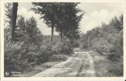 Rijmenam.  -   "Harentstraat" - Bonheiden