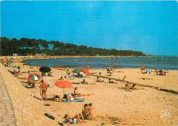 BASSIN D'ARCACHON LE MAURET LA GRANDE PLAGE - Autres & Non Classés