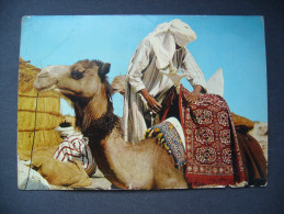 Libya: GHAT - Camel-Driver - Cammelliere - Posted 1969 - Libië