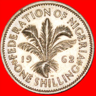 * STARS OF DAVID ★ NIGERIA ★ 1 SHILLING 1962 ELIZABETH II!  LOW START★NO RESERVE! - Nigeria