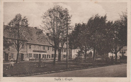 AK Erzgebirge Sayda Markt ? Park ? Denkmal ? Arthur Müller Wagenfabrik Bei Olbernhau Heidersdorf Neuhausen Rechenberg - Mulda (Erzgeb.)