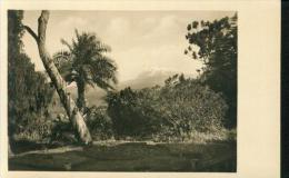 Der Kibogipfel Kibo Des Kilimandjaro Vom Mamba Aus Gesehen Tansania 14.5.1942 - Tanzania