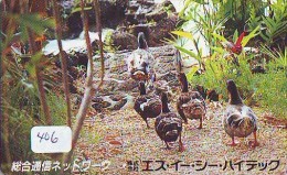 Télécarte Japon * OISEAU * CANARD * (406) MANDARIN * DUCK BIRD PHONECARD JAPAN * ENTE VOGEL * TELEFONKARTE * EEND - Gallináceos & Faisanes