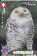 Japan Prepaidcard Eule Owl - Owls