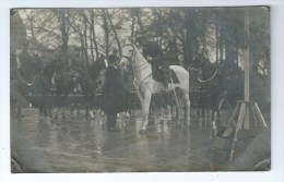 Bruxelles. 1919. Le Roi  Albert I, Sur Son Cheval Blanc. Photo-carte. 2 Scans. - Famous People