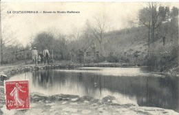 PAYS DE LA LOIRE - 85 - VENDEE -LA CHATAIGNERIE - Ecluse Du Moulin Mailleraie - Carte Molle - La Chataigneraie