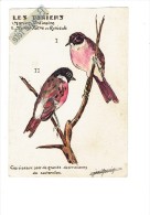 THÈME Oiseau Oiseaux - Illustration Jean Maurice ? - LES TARIERS Ordinaire Pâtre Rubicole - Destructeur De Sauterelle - Maurice