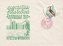 BIRDS, COMMON SNIPE, SPECIAL COVER, 1966, ROMANIA - Cigognes & échassiers