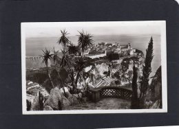 51913    Monaco,    Le  Rocher De Monaco,  Vu Des Jardins Exotique,  NV - Exotische Tuin