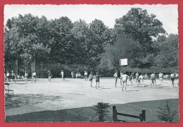 Morlanwelz - Lycée Warocqué - La Plaine De Jeux- Les Sports -1954 ( Voir Verso ) - Morlanwelz