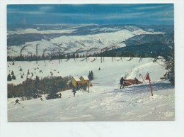 VALDOIE (90) : Slalom Sur Les Pistes Du Télésli De Cap 1200 Au Ballon D'Alsace  En 1970 (animé) GF. - Valdoie