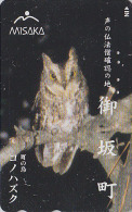 Télécarte Japon / 110-189909 - OISEAU - HIBOU CHOUETTE - OWL BIRD Japan Phonecard - EULE Vogel - 3879 - Uilen