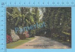 CPSM, Florida ( Ocean Boulvard, Cover Lake Worth 1949) Linen Postcard Recto/Verso - Clearwater