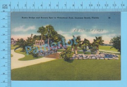 CPSM, Florida (  Rustic Bridge And Beauty Spot In Waterfront Park, Daytona Beach) Linen Postcard Recto/Verso - Daytona