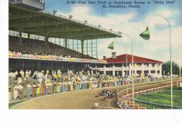 ST PETERBURG - FLORIDA  First Turn Thrill In Greyhound Racing Of Derby Lane-  Recto Verso-PAYPAL FREE - St Petersburg