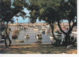 SAINT PIERRE D'OLERON  (17-Charente Maritime), Île D´Oléron,La Cotinière, Port De Pêche, Ed. Arjac - Saint-Pierre-d'Oleron