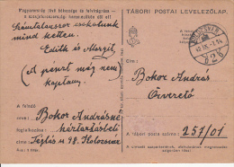 14129- WARFIELD POSTCARD, CAMP NR 257/01, 1942, HUNGARY - Cartas & Documentos