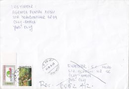 1164FM- HORSE POLO, POSTAL SERVICES, STAMPS ON REGISTERED COVER, 2002, ROMANIA - Briefe U. Dokumente