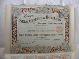 Titre 1911 Société Des SELS GEMMES & HOUILLES De La Russie Méridionale Action De 250 Francs 35 Coupons - - Russie