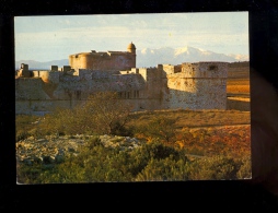 SALSES Pyrénées Orientales 66600 : Le Château Fort  Architecture Militaire Espagnole  Face Nord 1982 - Salses