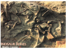 (357) Canada  - Dinosaure Bones - Dinausore - Non Classés