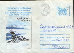 Romania - Stationery Cover 1996 - Arctic Wildlife - Cystophora Cristata (hooded Seal) - Faune Arctique
