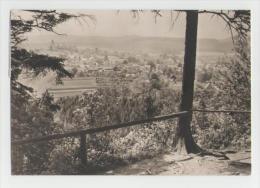 Finsterbergen-Blick Vom Hainfels - Friedrichroda