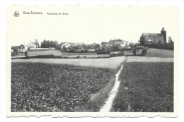 CPA - GREZ DOICEAU - Panorama De BIEZ  // - Graven